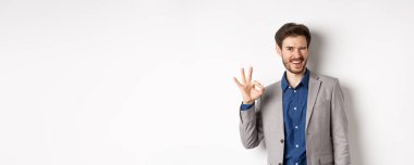 Herşey yolunda mı? Takım elbiseli neşeli iş adamı göz kırpıyor ve tamam işareti gösteriyor, kendine güveni tam, kalite garantisi var, iyi seçim, beyaz arka planda duruyor..