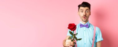 Sevgililer Günü ve romantizm konsepti. Papyonlu tatlı bir adam sana kırmızı gül veriyor ve şefkatle bakıyor, romantik pembe arka planda duruyor..