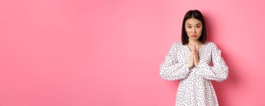 Tatlı Asyalı kız yardım istiyor, yardım için yalvarıyor, kameraya masum bakıyor, pembe arka plana karşı yalvarıyor..