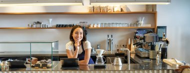Kafe ve küçük işletmeler. Önlüklü gülümseyen Asyalı barista, kafede tezgahın arkasında duruyor, POS terminali ile çalışıyor ve bira setini filtreliyor..