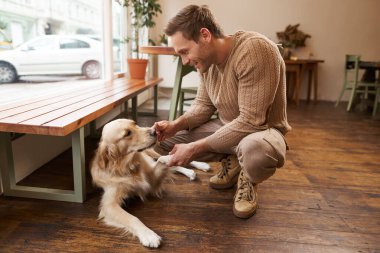 Bir kafede köpeğiyle oynayan yakışıklı bir adamın portresi, bir adam pençesini tutuyor ve gülümsüyor, evcil hayvan dostu bir yerde vakit geçiriyor..