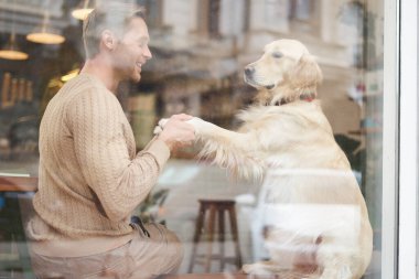 Köpeğiyle birlikte pencerenin yakınındaki bir kafede oturan Golden Retriever 'ın ziyaretçisine pençe attığı açık hava fotoğrafı..