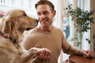 Yakından bakınca akıllı köpeğin portresi sahibine patisini uzatıyor. Evcil hayvan dostu bir kafede oturan altın av köpeğiyle yakışıklı bir adam..