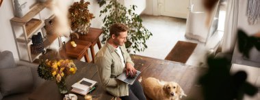 Köpekli yakışıklı bir gencin dikey resmi, masaya yaslanmış, dizüstü bilgisayarı elinde tutuyor, ekrana bakıyor, iş yerindeki e-postaları kontrol ediyor. Golden retriever 'ıyla ortak çalışma alanında çalışan bir iş adamı..