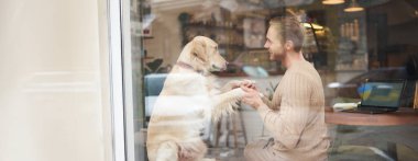 Evcil hayvan dostu restoranlar, halka açık yerler, destek köpekleri, ev hayvanları. Golden Retriever 'ın kaliteli vakit geçirdiği kafenin açık hava görüntüsü..