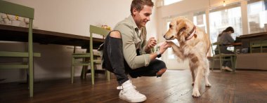 Evcil hayvan dostu kafede gülümseyen mutlu köpek sahibinin portresi. Pençe atmayı öğretmek. Golden Retriever 'ına ödül vermek..