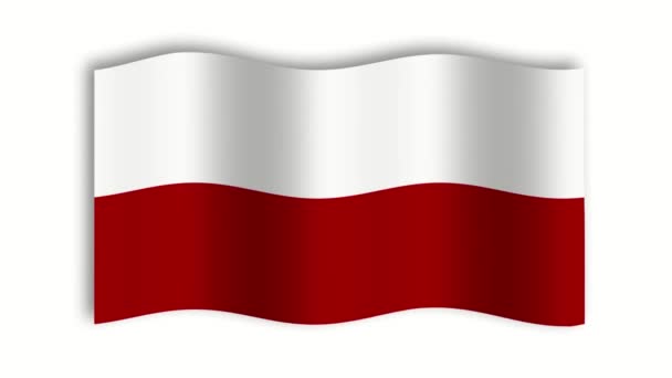 Polonia Ondeando Animación Bandera Pantalla Blanca Verde — Vídeo de stock