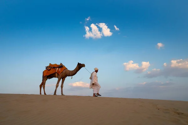 라자스탄의 2019 카메라맨 언덕의 관광객을 낙타를 되찾는다 낙타타기는 관광객들에게 인기있는 — 스톡 사진