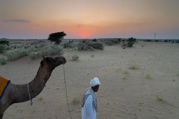 印度拉贾斯坦邦塔尔沙漠 Thar Desert Rajasthan India 2019年10月15日 老骆驼骑手在黄昏时分的沙丘中乘坐游客后带回骆驼 骆驼骑马是游客们喜爱的一项活动 — 图库照片
