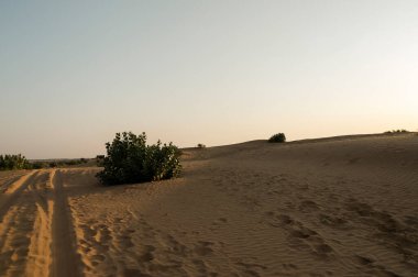 Thar Çölü, Rajasthan, Hindistan 'daki kum tepelerinde araba lastiği izleri var. Turistler, gezginler arasında çok popüler bir etkinlik olan çölde güneşin doğuşunu izlemek için arabalarla geliyorlar..