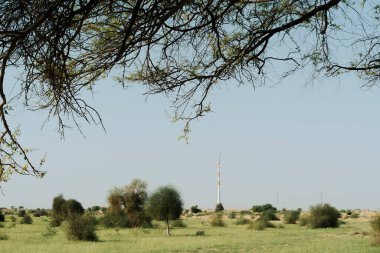 Rüzgar türbinleri, alternatif çevre dostu elektirik kaynağı, Thar Çölü, Rajasthan, Hindistan 'a kurulmuş..