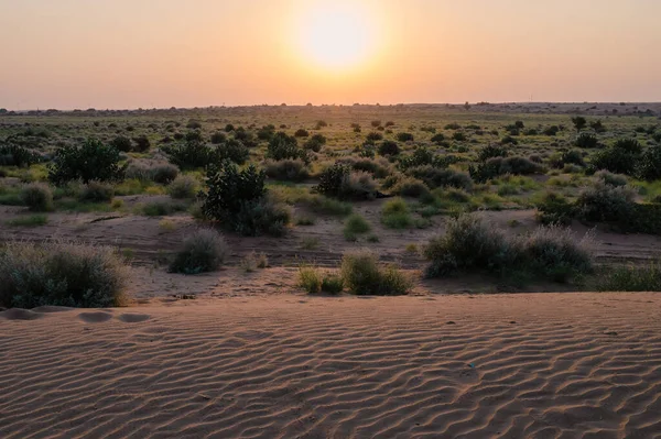 Sun Rising Horizon Thar Desert Rajasthan India Tourists India Visits — Stock Photo, Image