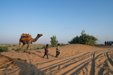 Thar Çölü, Rajasthan, Hindistan - 16.10.2019: Genç Cameleers güneşin doğuşunu izlemek için deveyi turistlere götürüyor. Dromedary, dromedary deve, Arap deve, ya da tek hörgüçlü deve binmek için kullanılır.