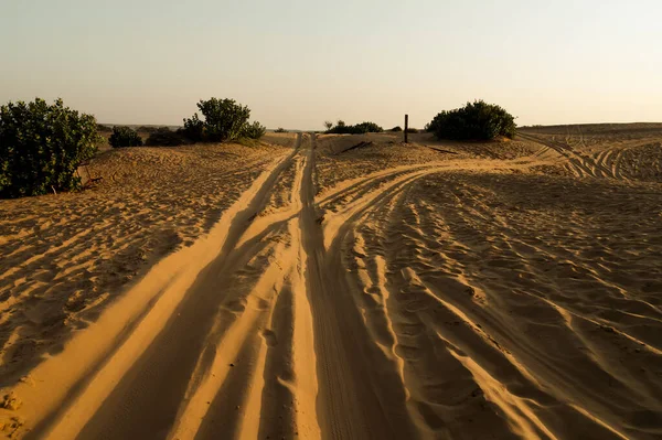 Autobandensporen Zandduinen Thar Woestijn Rajasthan India Toeristen Komen Auto Zon — Stockfoto