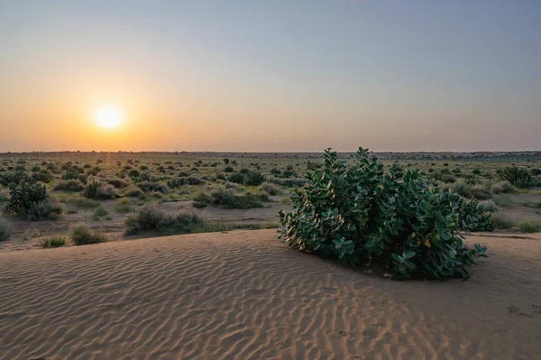 太阳升起在印度拉贾斯坦邦塔尔沙漠的地平线上 来自印度各地的游客来到塔尔沙漠观看太阳升起 — 图库照片