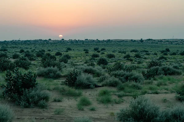 stock image Sun rising at the horizon of Thar desert, Rajasthan, India. Tourists from across India visits to watch desert sun rise at Thar desert.