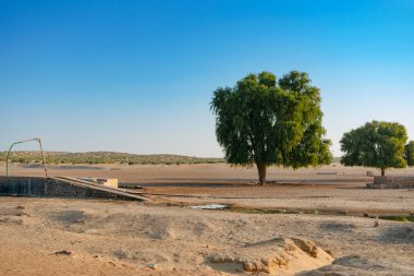 Ranautar, çölün içindeki ücra bir çöl köyü. Uzak ufuk, bulutsuz mavi arka plan, Thar Çölü, Rajasthan, Hindistan 'da sıcak yaz..