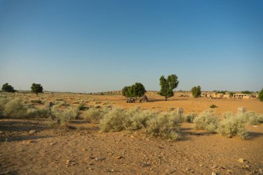 Ranautar, çölün içindeki ücra bir çöl köyü. Uzak ufuk, bulutsuz mavi arka plan, Thar Çölü, Rajasthan, Hindistan 'da sıcak yaz..