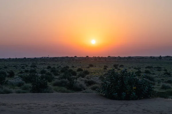 Sonnenaufgang Horizont Der Wüste Thar Rajasthan Indien Touristen Aus Ganz — Stockfoto