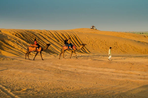 Thar Desert Rajasthan India 2019 Cameleer骑骆驼带游客观看日出 阿拉伯骆驼或单头骆驼被用来骑骆驼 — 图库照片