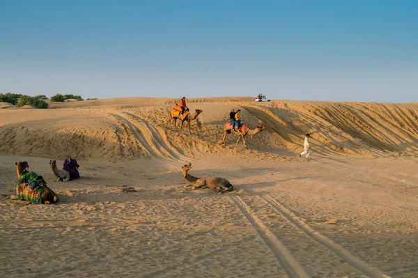Thar Desert Rajasthan India 2019 Cameleer骑骆驼带游客观看日出 阿拉伯骆驼或单头骆驼被用来骑骆驼 — 图库照片