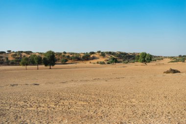 Ranautar, çölün içindeki ücra bir çöl köyü. Uzak ufuk, bulutsuz mavi arka plan, Thar Çölü, Rajasthan, Hindistan 'da sıcak yaz..