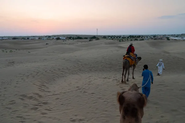 Cameleers Taking Back Camels Camelus Dromedarius Tourist Rides Dusk Sand — Foto Stock