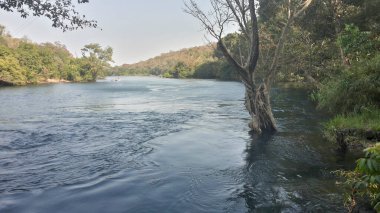 View of Kali river or Kali nadi river at Dandeli, Karnataka, India.