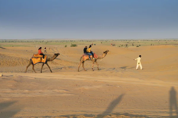 在印度拉贾斯坦邦的塔尔沙漠 骆驼骑着骆驼带游客观看日出 阿拉伯骆驼或单头骆驼被用来骑骆驼 探险运动 — 图库照片