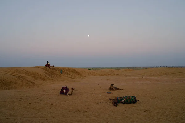 月亮设定 看塔尔沙漠沙丘 黎明前的阳光升起前 月亮在天空中升起 Rajasthan India — 图库照片