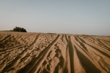 Thar Çölü, Rajasthan, Hindistan 'daki kum tepelerinde araba lastiği izleri var. Turistler, gezginler arasında çok popüler bir etkinlik olan çölde güneşin doğuşunu izlemek için arabalarla geliyorlar..