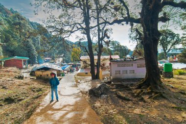 Chopta, Uttarakhand, India - 1st November 2018 : Indian female solo traveller trekking in Tungnath trek route,one of the highest Shiva temples in the world and highest of the five Panch Kedar temples.