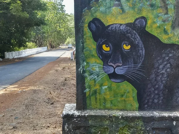 A black panther, black-coated version of leopard, Panthera pardus, or jaguar, Panthera onca, on the sign board at Karnataka tiger reserve, India. Deep forest of the famous tiger reserve.