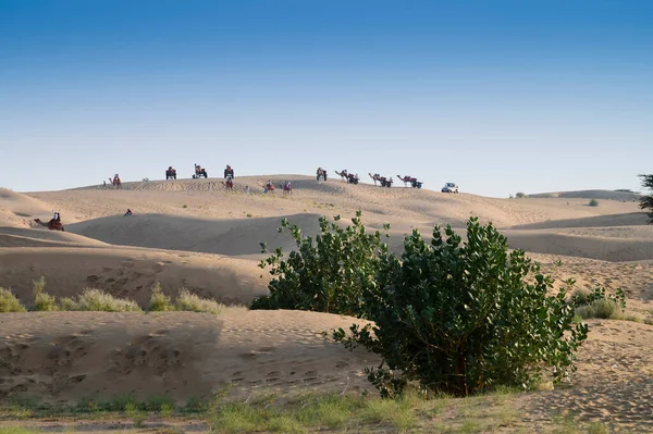 Bu çöl. Çorak topraklar, Jaisalmer 'in kum tepeleri, Rajasthan, Hindistan.