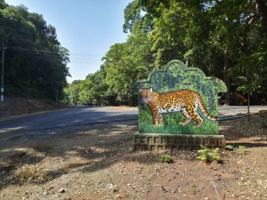 A tiger, Panthera tigris, on the sign board at Karnataka tiger reserve. The road goes through deep forest of the famous tiger reserve. Shot at forest of Karnataka, India.