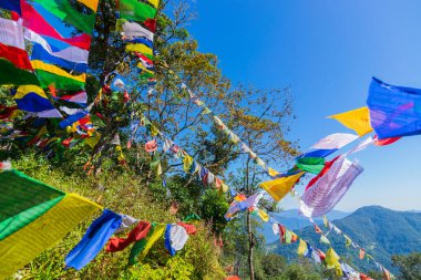 Üzerinde yeşil yapraklar ve mavi gökyüzü olan renkli Budist dua bayrakları, Sikkim, Hindistan