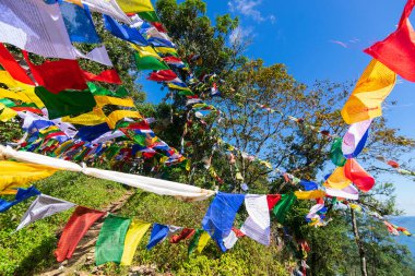 Üzerinde yeşil yapraklar ve mavi gökyüzü olan renkli Budist dua bayrakları, Sikkim, Hindistan