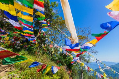 Üzerinde yeşil yapraklar ve mavi gökyüzü olan renkli Budist dua bayrakları, Sikkim, Hindistan