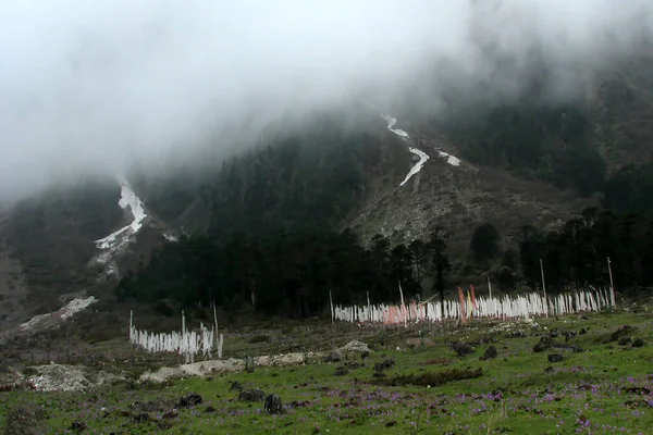 Veduta Del Santuario Yumthang Valley Sikkim Valley Flowers Montagne Himalayane — Foto Stock