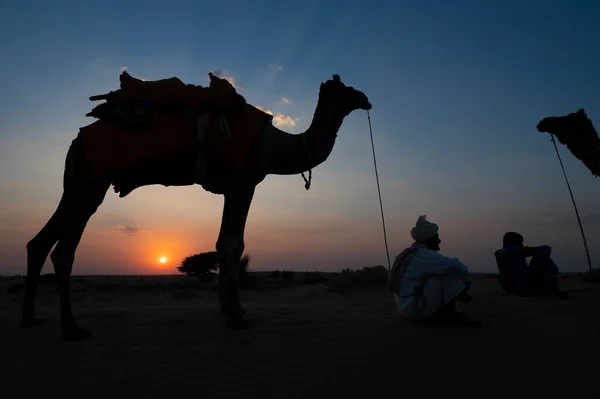 Thar Desert Rajasthan India 2019 Silhouette Two Cameleers Camels Sand — Stock Photo, Image