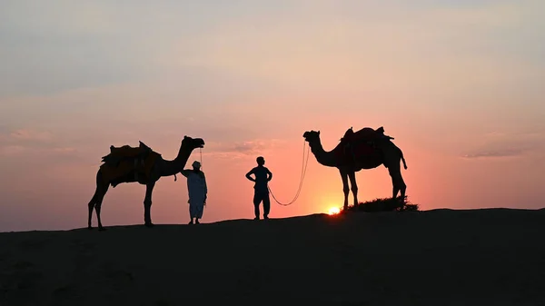 Désert Thar Rajasthan Inde 2019 Silhouette Deux Chameaux Leurs Chameaux — Photo