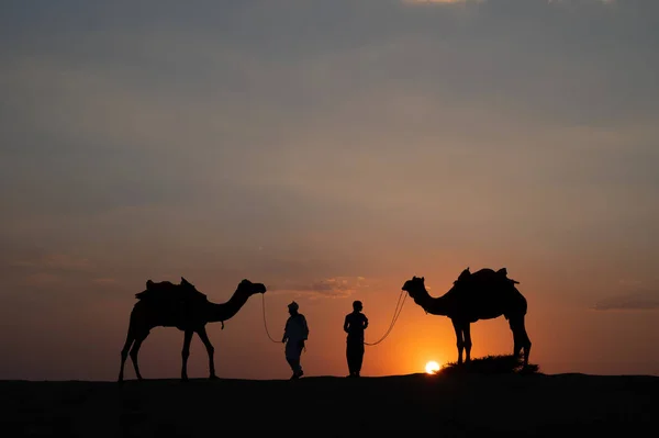 Тар Пустеля Раджастхан Індіана 2019 Силует Двох Верблюдів Верблюдів Піщаних — стокове фото
