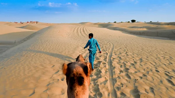 Thar Desert Rajasthan India 2019 Cameleer Leder Kamel Camelus Dromedarius — Stockfoto
