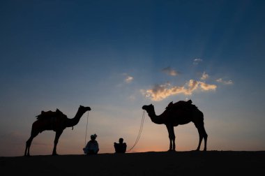 Thar Çölü, Rajasthan, Hindistan... 15.10.2019: iki devenin silueti ve develeri kum tepeciklerinde. Batan güneşli bulut, gökyüzü arka planı. Cameleers turistlerin sürdüğü devenin sırtından geçiniyor..