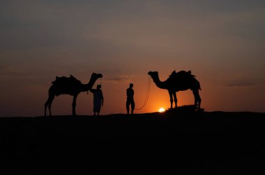 Thar Çölü, Rajasthan, Hindistan... 15.10.2019: iki devenin silueti ve develeri kum tepeciklerinde. Batan güneşli bulut, gökyüzü arka planı. Cameleers turistlerin sürdüğü devenin sırtından geçiniyor..