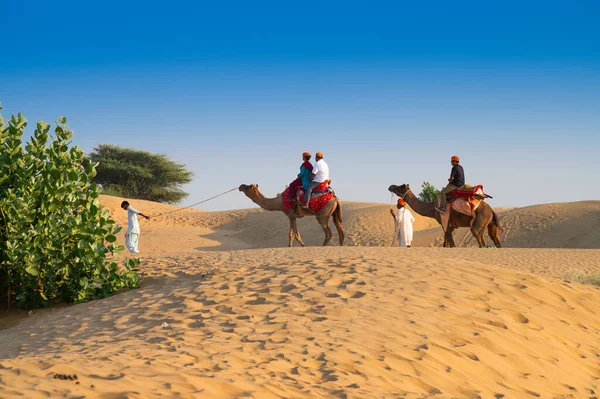Thar Desert Rajasthan India 2019 Camelus Dromedarius骑骆驼的游客 在塔尔沙漠的沙丘上 在所有来这里观光的游客中 骆驼是最受欢迎的活动 — 图库照片