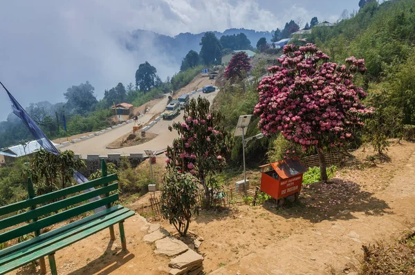 Sikkim, Hindistan - 21 Mart 2004: Varsey Rhododendron Sığınağı veya Barsey Rhododendron Sığınağı 'nın giriş noktası. Çok popüler bir doğa yolculuğu, Sikkim, Hindistan 'da turistik yürüyüş rotası..