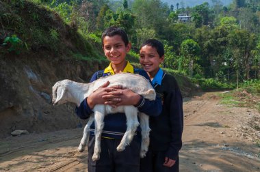 Sikkim, Hindistan - 22 Mart 2004: Üniformalı iki okul çocuğu evcil keçilerini taşıyor ve mutluluktan gülümsüyor. Sikkim yüksek okur-yazarlık oranına sahip en eğitimli nüfusa sahip..