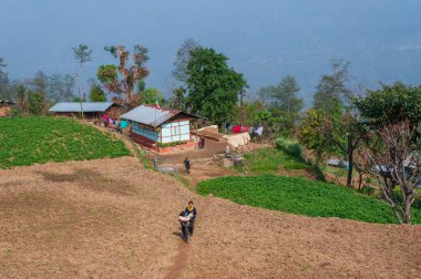 Sikkim, Hindistan - 22 Mart 2004: Evcil keçilerini taşıyan iki okul çocuğu mutlulukla tarla üzerinde koşuyorlar. Sikkim yüksek okur-yazarlık oranına sahip en eğitimli nüfusa sahip..