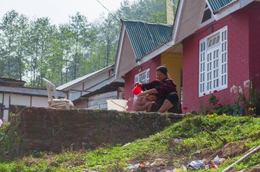 Sikkim, Hindistan - 22 Mart 2004: Sikkimese annesi oğlunu evinin önünde yıkıyor ve yıkıyor. Anne ve oğul arasında neşeli bir an. Arka planda Himalaya dağlarının yeşil ağaçları.
